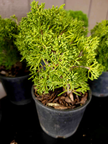 4A76E6FC-E63B-40F6-BE3F-