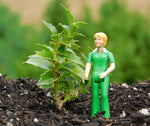 Ilex ‘ROCK GARDEN’